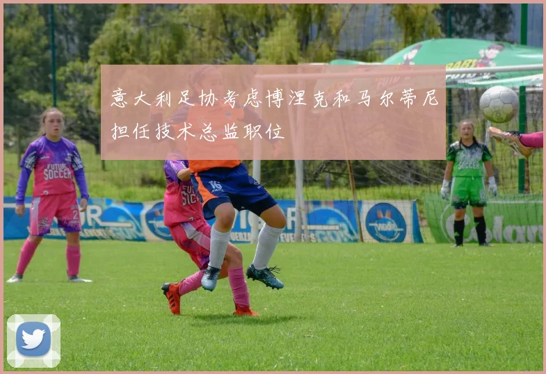 意大利足协考虑博涅克和马尔蒂尼担任技术总监职位